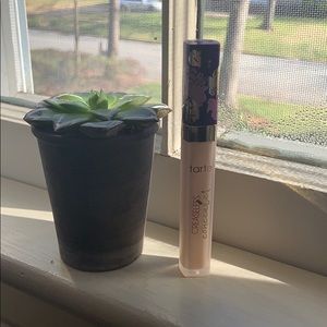 Tarte creaseless concealer